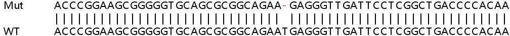 Sanger Sequencing - Human C1orf131 knockout HeLa cell lysate (AB263127), expandable thumbnail