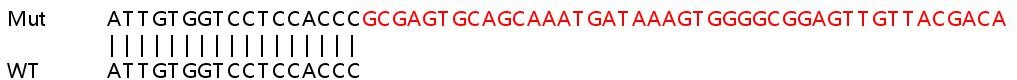 Sanger Sequencing - Human C4BPA knockout HeLa cell line (AB265462), expandable thumbnail