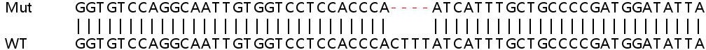 Sanger Sequencing - Human C4BPA knockout HeLa cell line (AB265462), expandable thumbnail