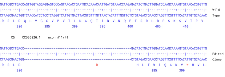 Next Generation Sequencing - Human C5 knockout A549 cell line (AB326016)