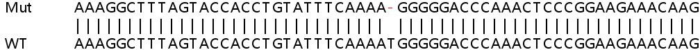 Sanger Sequencing - Human C6orf62 knockout HeLa cell line (AB265397)