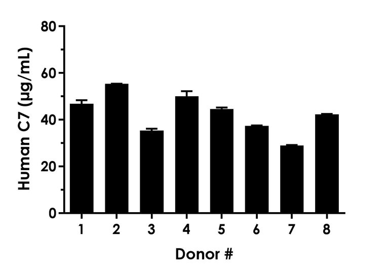 Sandwich ELISA - Human C7 ELISA Kit (AB304938)