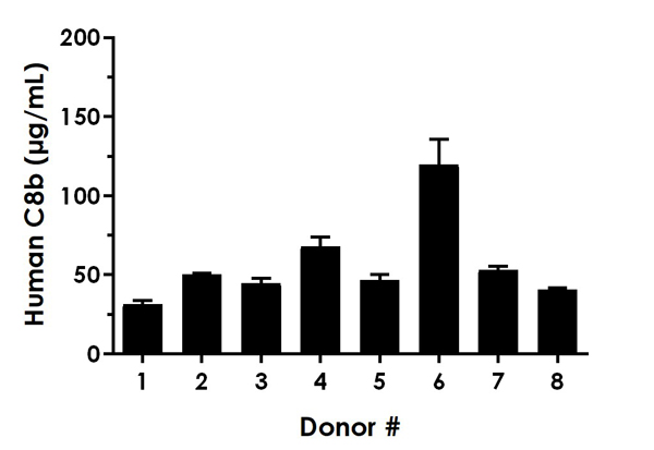 Sandwich ELISA - Human C8b (Complement C8b) ELISA Kit (AB283548)
