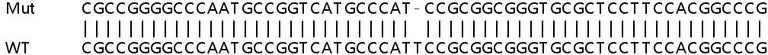 Sanger Sequencing - Human C9orf69 knockout HeLa cell line (AB265501)