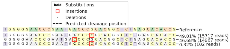 Next Generation Sequencing - Human CA12 knockout A549 cell lysate (AB273778)