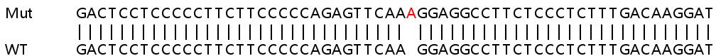 Sanger Sequencing - Human CALM3 knockout HEK-293T cell line (AB266801)