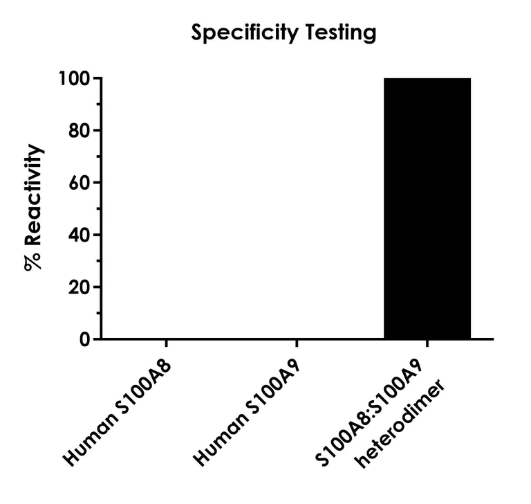 Sandwich ELISA - Human Calprotectin (S100A8/S100A9) ELISA Kit (AB320045)