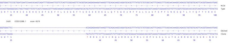 Next Generation Sequencing - Human CALR knockout A549 cell line (AB286714)