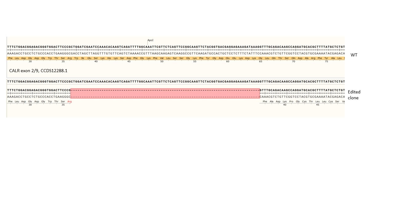 Next Generation Sequencing - Human CALR knockout HCT116 cell line (AB286338), expandable thumbnail