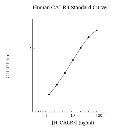 Sandwich ELISA - Human Calreticulin 3 ELISA Kit (AB283995)
