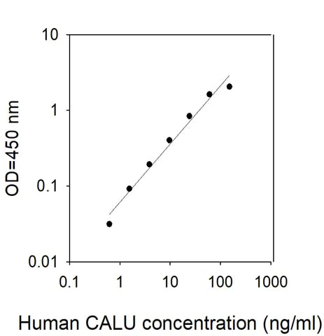 Sandwich ELISA - Human Calumenin ELISA Kit (AB309404)