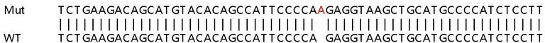 Sanger Sequencing - Human CAPG (MCP) knockout HeLa cell line (AB265766)