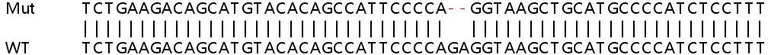 Sanger Sequencing - Human CAPG (MCP) knockout HeLa cell line (AB265766)