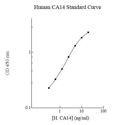Sandwich ELISA - Human Carbonic Anhydrase 14/CA14 ELISA Kit (AB283996)