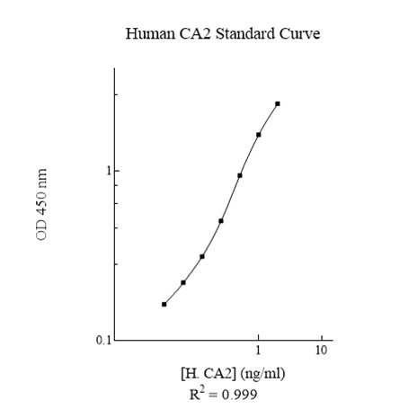 Sandwich ELISA - Human Carbonic Anhydrase 2 ELISA Kit (AB222881)