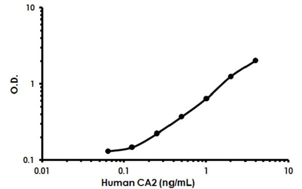 Sandwich ELISA - Human Carbonic Anhydrase 2 ELISA Kit (AB222881)