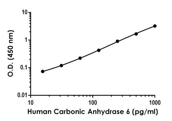 Sandwich ELISA - Human Carbonic Anhydrase 6 Antibody Pair - BSA and Azide free (CA6) (AB253453)