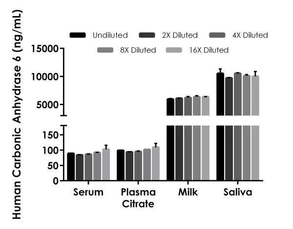 Sandwich ELISA - Human Carbonic Anhydrase 6 (CA6) ELISA Kit (AB275899)