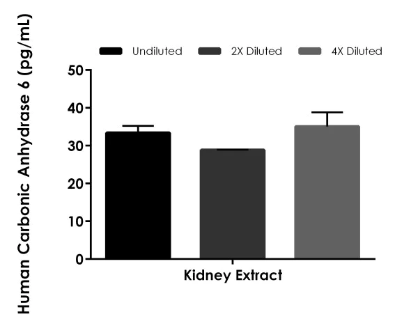 Sandwich ELISA - Human Carbonic Anhydrase 6 (CA6) ELISA Kit (AB275899)