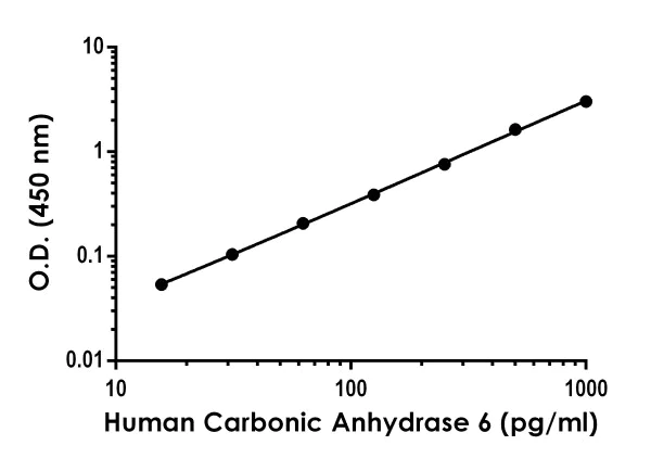 Sandwich ELISA - Human Carbonic Anhydrase 6 (CA6) ELISA Kit (AB275899)