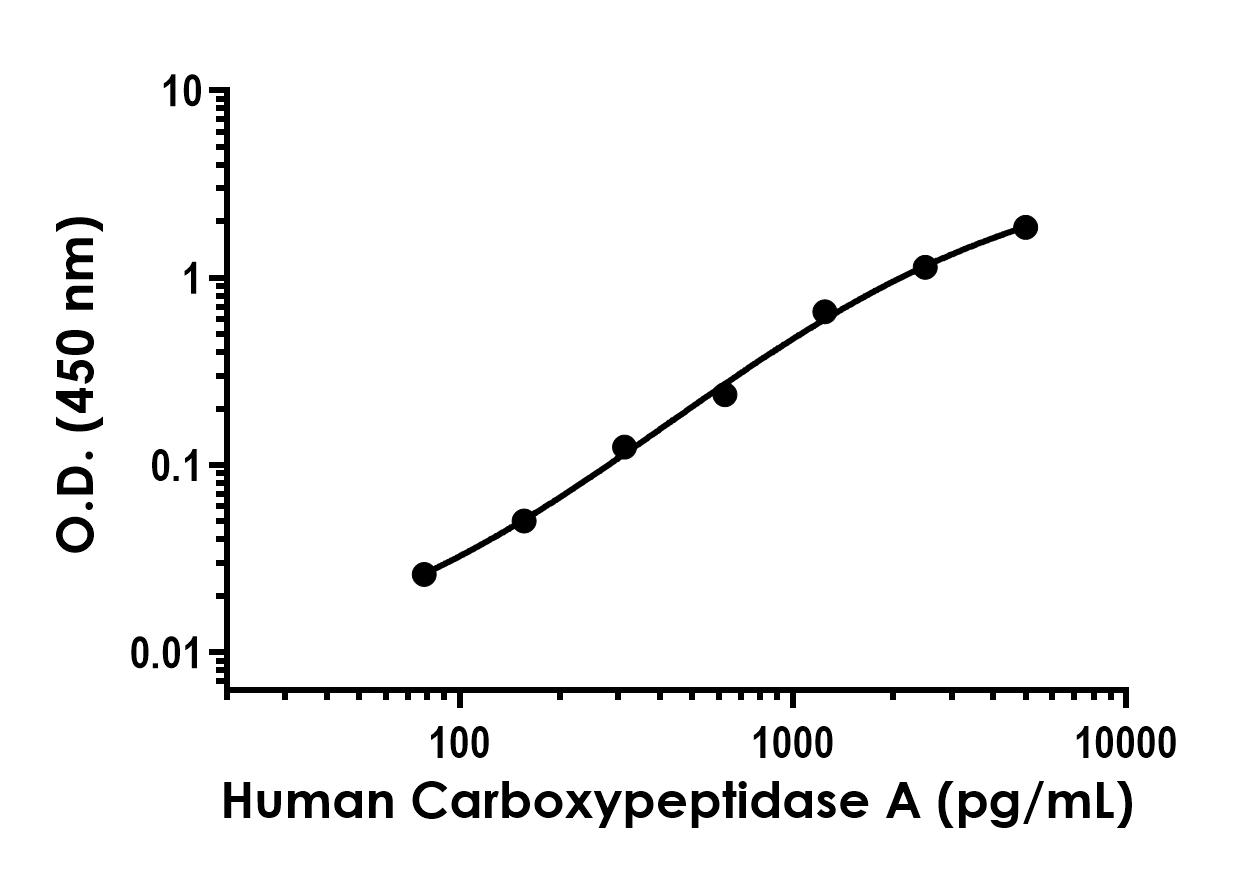 Sandwich ELISA - Human Carboxypeptidase A Antibody Pair - BSA and Azide free (AB253886), expandable thumbnail