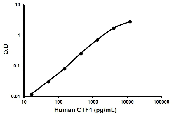 Sandwich ELISA - Human Cardiotrophin 1 ELISA Kit (CTF1) (AB99996)