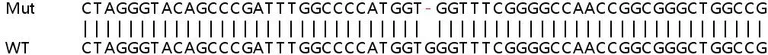 Sanger Sequencing - Human CASC4 knockout HeLa cell line (AB265832)