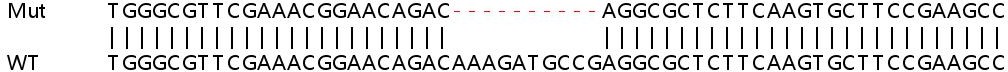 Sanger Sequencing - Human CASP7 (Caspase-7) knockout A549 cell line (AB266919), expandable thumbnail