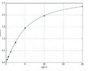 Sandwich ELISA - Human Caspase-3 ELISA Kit (AB285337), expandable thumbnail