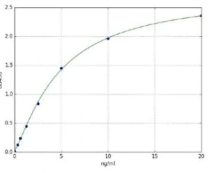 Sandwich ELISA - Human Caspase-3 ELISA Kit (AB285337)