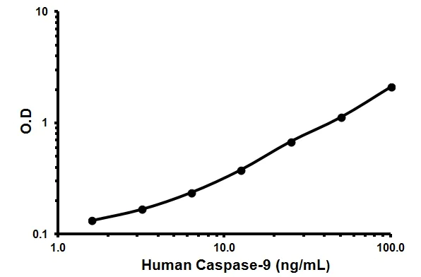 Sandwich ELISA - Human Caspase-9 ELISA Kit (AB119508)