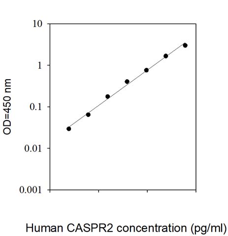 Sandwich ELISA - Human Caspr2/CNTNAP2 ELISA Kit (AB309398), expandable thumbnail