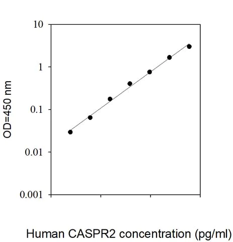 Sandwich ELISA - Human Caspr2/CNTNAP2 ELISA Kit (AB309398)