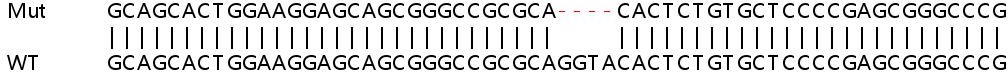Sanger Sequencing - Human CAT (Catalase) knockout HeLa cell line (AB265250), expandable thumbnail