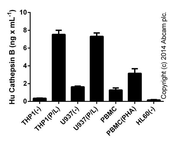 ELISA - Human Cathepsin B ELISA Kit (AB119584)