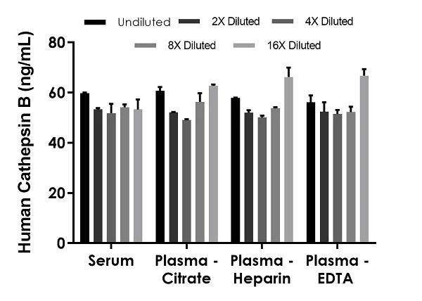 Sandwich ELISA - Human Cathepsin B ELISA Kit (AB272205)