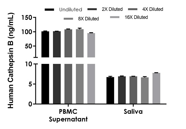 Sandwich ELISA - Human Cathepsin B ELISA Kit (AB272205), expandable thumbnail