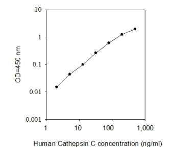 ELISA - Human Cathepsin C ELISA Kit (AB277434)