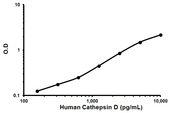 Sandwich ELISA - Human Cathepsin D ELISA Kit (AB119586), expandable thumbnail