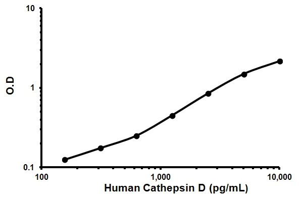 Sandwich ELISA - Human Cathepsin D ELISA Kit (AB119586)