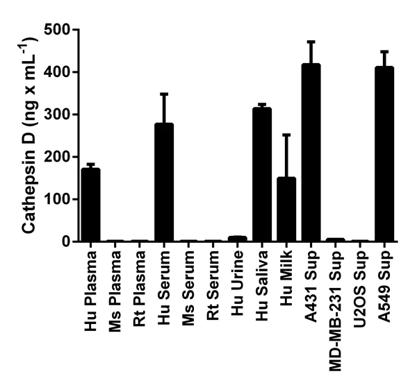 Sandwich ELISA - Human Cathepsin D ELISA Kit (AB119586)