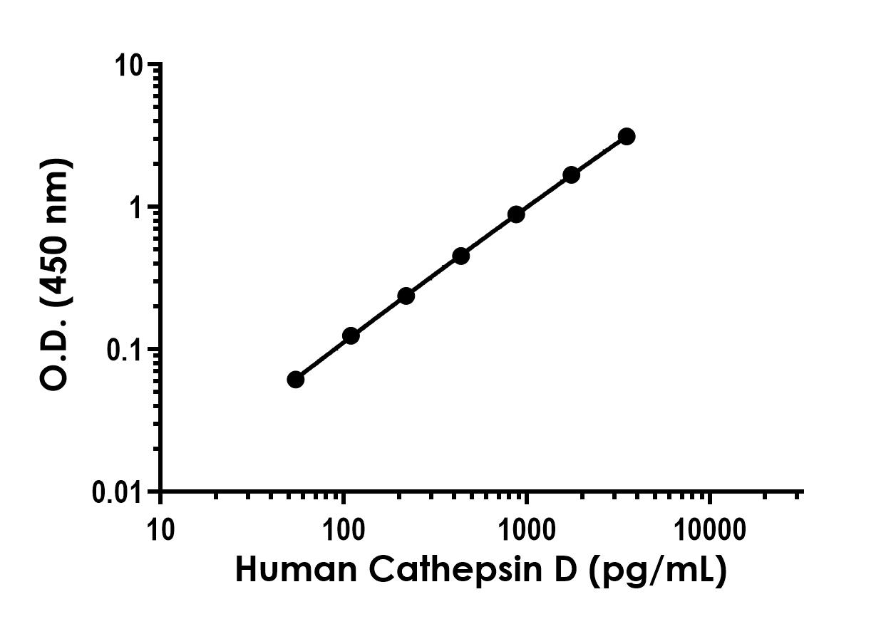 Sandwich ELISA - Human Cathepsin D (mature, single chain) ELISA Kit- Extracellular (ab323516), expandable thumbnail
