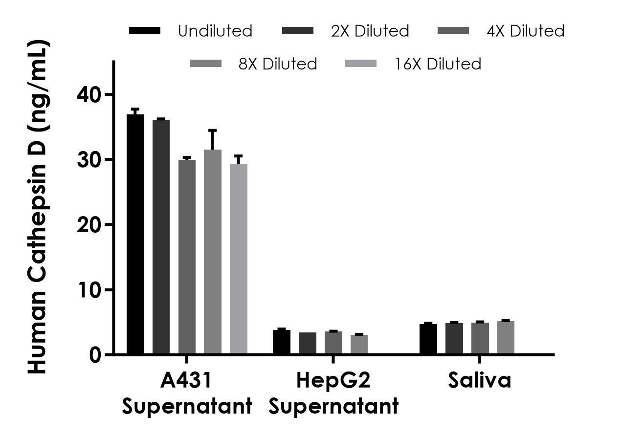 Sandwich ELISA - Human Cathepsin D (mature, single chain) ELISA Kit- Extracellular (AB323516), expandable thumbnail