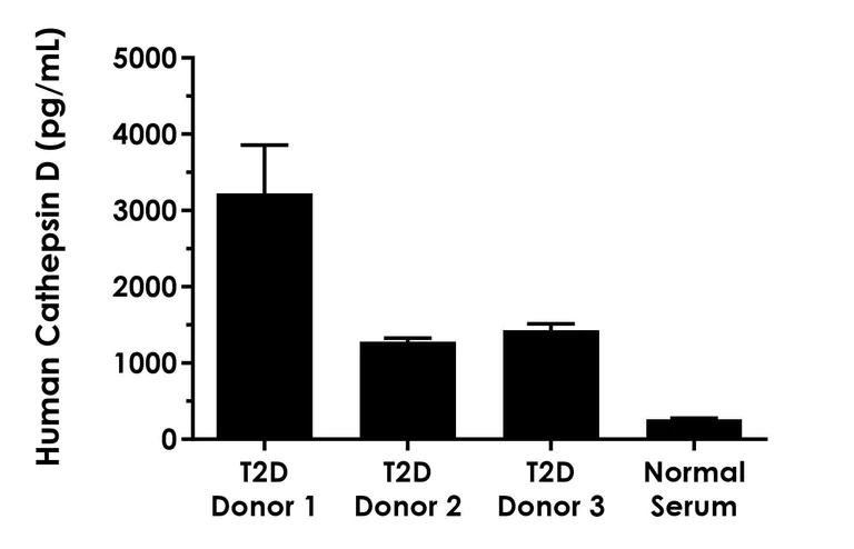 Sandwich ELISA - Human Cathepsin D (mature, single chain) ELISA Kit- Extracellular (AB323516)