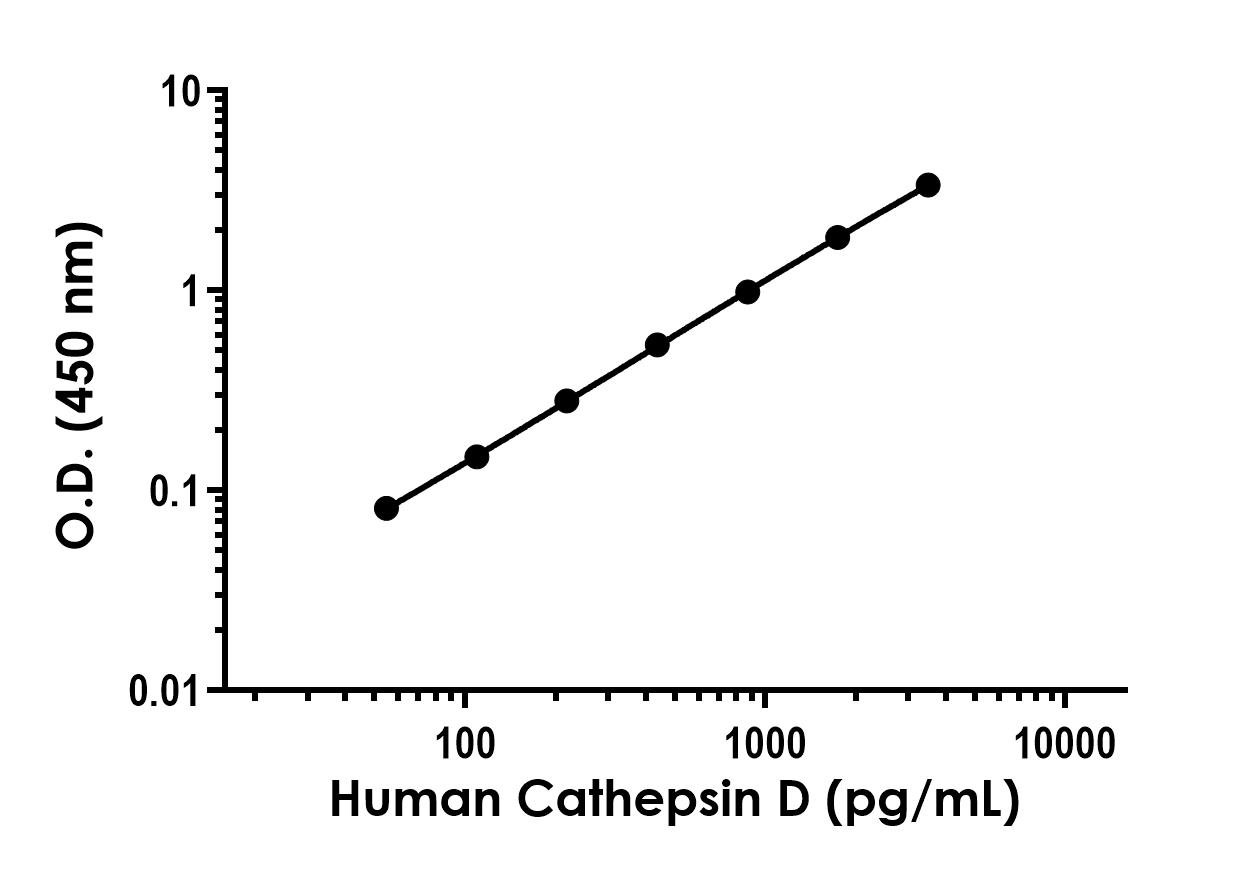 Sandwich ELISA - Human Cathepsin D (mature, single chain) ELISA Kit- Intracellular (AB323517), expandable thumbnail