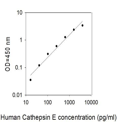 Sandwich ELISA - Human Cathepsin E ELISA Kit (AB313522)