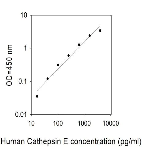Sandwich ELISA - Human Cathepsin E ELISA Kit (AB313522)