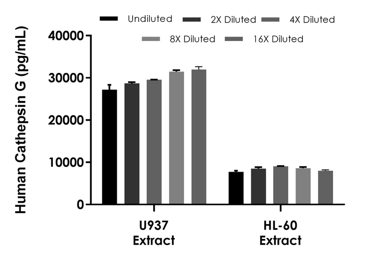 Sandwich ELISA - Human Cathepsin G ELISA Kit (AB304943)