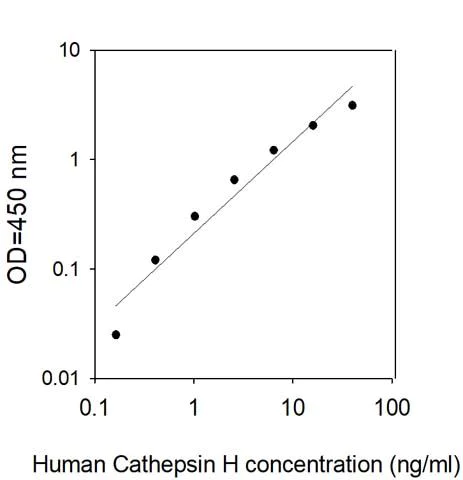 Sandwich ELISA - Human Cathepsin H ELISA Kit (AB313523)