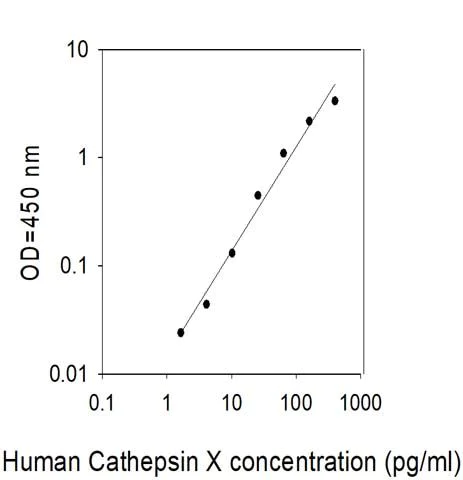 Sandwich ELISA - Human Cathepsin X ELISA Kit (AB314828)